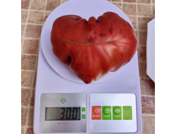 Томат Кудрявый Морателла (Rizado de Morratella )