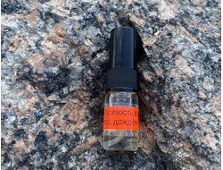 Духи НОТА: БЛИЗОСТЬ В РОЩЕ ПОД ДОЖДЁМ, 2.5 мл