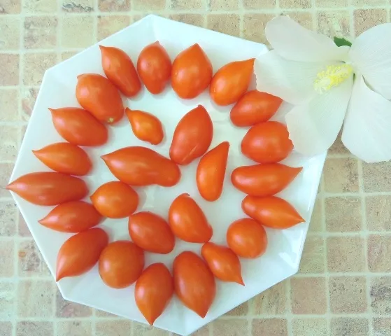 Томат Летнее искушение