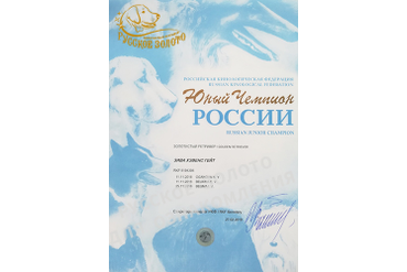 Ziva Heaven's Gate /Лора/ - Юный Чемпион России