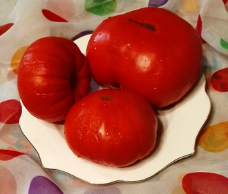 Семена томата Тёрки / *нов 2025