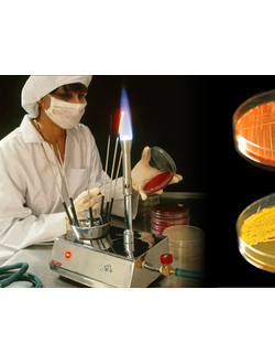 Бактериологическое исследование мазков