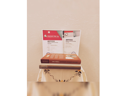 Комплект из 2-х книг: "Санкт-ПИРАНЕЗИбург. Северная империя Джамбаттиста", "ТРИ РИМА. Вечный. Новый. Третий"