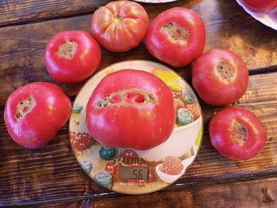 Томат Сладкая свекла (Dulcea de Fagaras), Италия