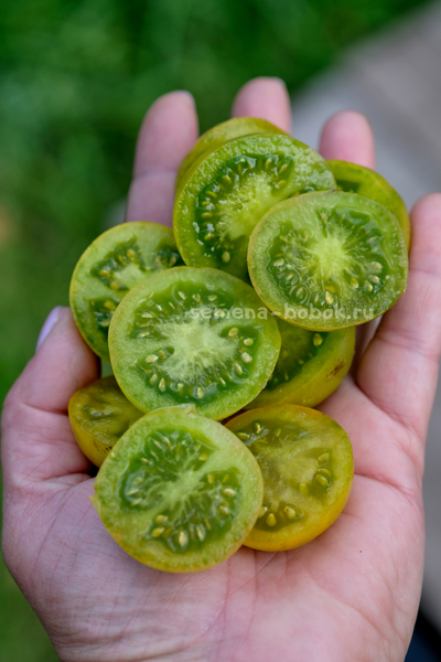 Томат Гном Beautiful Ones (Красотки), 10 шт