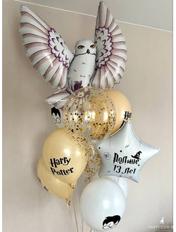 Набор Гарри Поттер