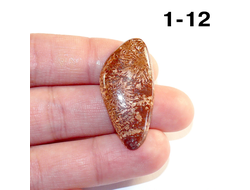 Коралл натуральный окаменелый (кабошон) №1-12: 3,5г - 36*17*5мм