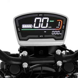 Электроскутер CityCoco TRIKE GT-T30 (Е30)