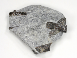 Ставролит, сросток кристаллов "косой крест" на сланце, Россия, Кольский п-ов (50*42*15 мм, 37 г) №26074