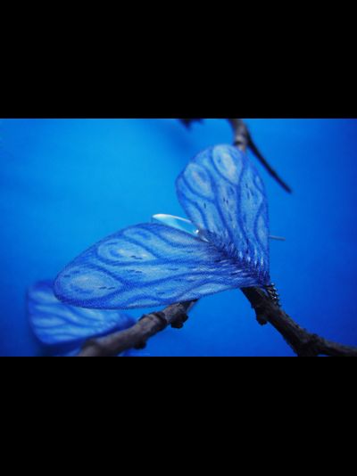 "Небокрылые феи весенних дождей", длинные серьги с шёлком и каплями