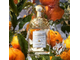 Aqua Allegoria Mandarine Basilic Guerlain