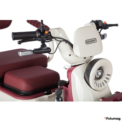 Электротрицикл Rutrike Gelbert Mercury 48V/60V 650Вт бело-красный