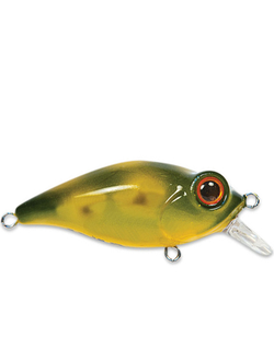 Воблер Cultiva Bug Eye Bait BB-48F цв.53