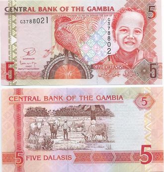 Гамбия 5 даласи 2013 г.