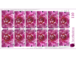 Слайдер-дизайн 110