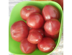 Томат Знаменитая клубника Миссис Шлаубах (Mrs. Schlaubaugh’s Famous Strawberry)