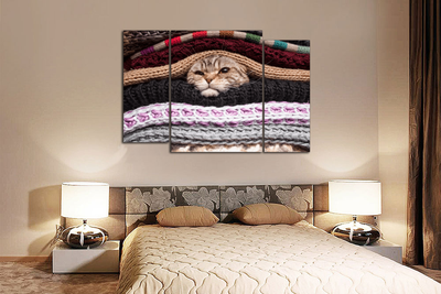Модульная картина "Кот в тепле"