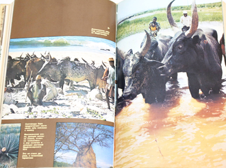 Кулик С. Когда духи отступают. М.: Мысль. 1981г.