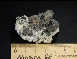 Нашатырь, щетка скелетных кристаллов, Центральный Донбасс, Донецкая область (45*35*28 мм, 12 г) №24526