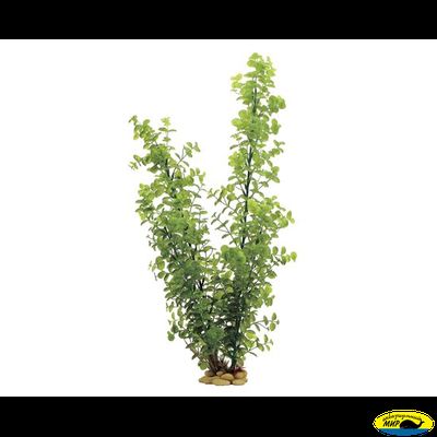 1110101-АRТ &quot;Бакопа&quot; 60см