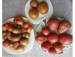 Мятные полосы, Гунн металл грей, Малиновая нерка