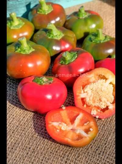 Перец сладкий Малиновое сердце, 10 шт