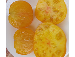 Томат Гном Золотой цыган, (Dwarf Golden Gypsy, Голден Джипси)