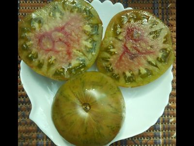 Томат Харвард сквер (Harvard Square)