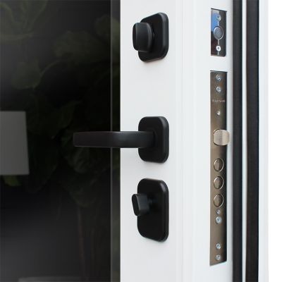 Стальная дверь   Ливерпуль с зеркалом