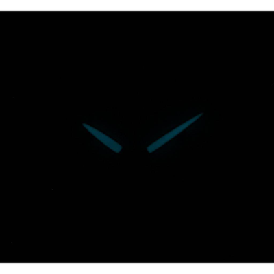 Наручные часы Citizen FB1381-54A