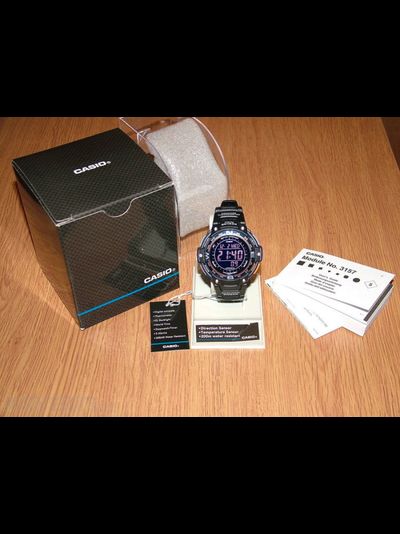 Часы Casio SGW-100-2B