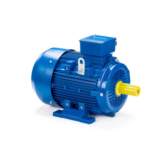 Электродвигатель АИС 180L4 (22 кВт) IM B3