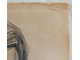 "Голова Гаттамелаты (Донателло)" бумага карандаш Тимкина Т.Е. 1980-е годы