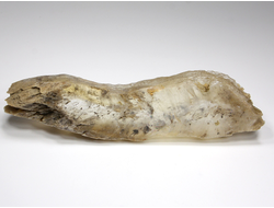 Гипс, кристалл, Россия (133*34*20 мм, 140 г) №25384