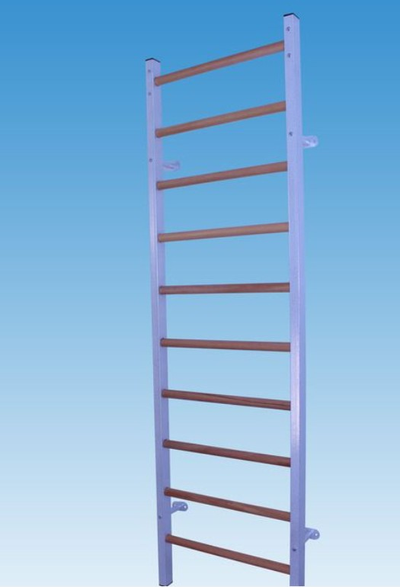 Шведская стенка СИЛА