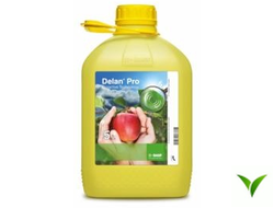 Делан Про КС 5 л