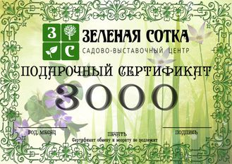 Подарочный сертификат 3000 руб