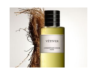 Vetiver EO 100