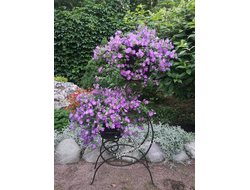 Подставка для цветов кованая на два кашпо 25*70*40см  6кг металл Россия 3478/021044