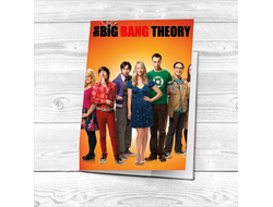 Обложка на паспорт Теория большого взрыва, The Big Bang Theory №4