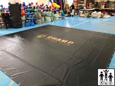 Печать на тенте (Нанесение логотипа один цвет 1м2) DNN