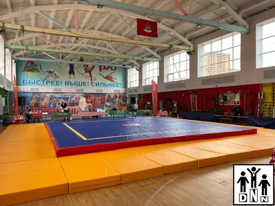 Помост для ушу саньда, 20 см (ППЭ 1*2*0,04 М) DNN