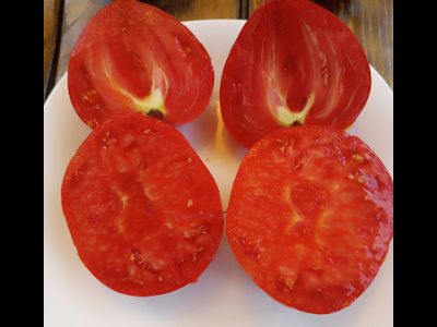 Томат Вова Путин