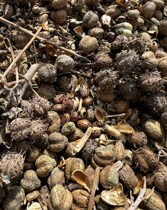 Касторовое масло пищевое нераф. 50 мл