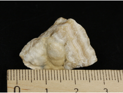 Арагонит, почковидные агрегаты, полировка, Россия, КЧР, Урупский район (28*17*16 мм, 7 г) №37733