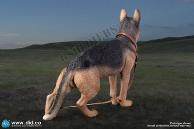 Немецкая овчарка - Коллекционная ФИГУРКА 1/6 scale German Shepherd (AS003) - DID