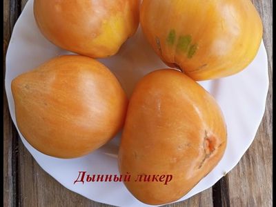 Томат Дынный ликер