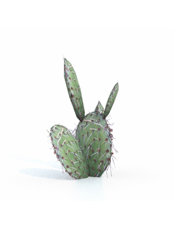 кактусы Опунция-02 0,4м