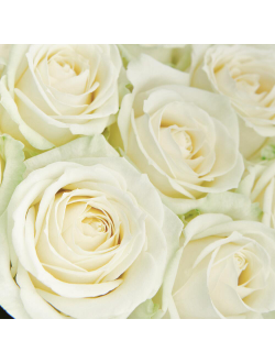 19 белых роз