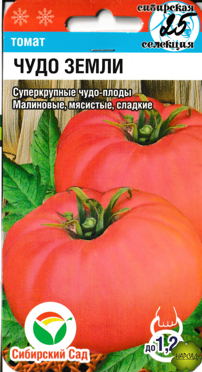 Томат "Чудо земли" (высокорослый, суперкрупный)